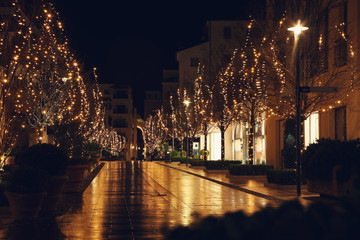 Fototapeta na wymiar Christmas decoration in small town night view