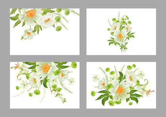 Set of floral card luxury pattern set. White garden aster peonies white background.