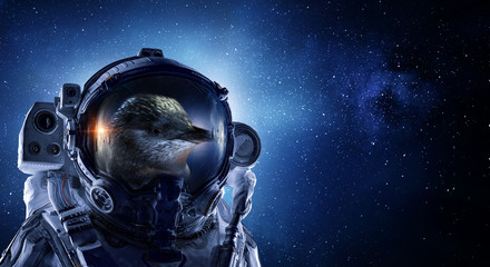 First trip to space. Mixed media