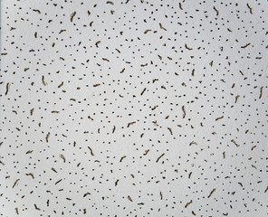 texture, white background with uneven holes