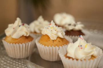 Bakery. Stock of Muffins covered with cream.