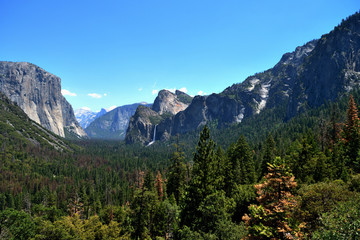 Fototapeta premium Mountain landscape in Yosemite National Park, California, USA