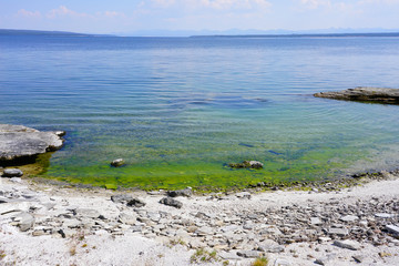 View of a geyser in the Yellowstone Lake in the West Thumb Geyser Basin in Yellowstone National Park, United States