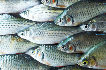 Fresh fish pattern with macro close up for raw food concept