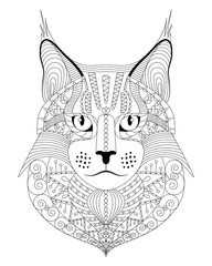 Hand drawn maine coon cat with ethnic doodle pattern. Antistress coloring page for adults. Vector illustration, isolated on white.