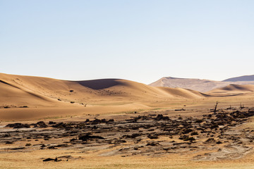 Fototapeta na wymiar Abstract view of a dune in Sossusvlei, Namib Naukluft National Park, Namib desert, Namibia.