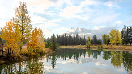 Yellow autumn pine trees at the shore of Cascade pond in Banff National park