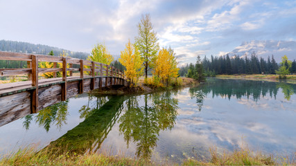 Fototapeta na wymiar Wooden bridge across cascade pond with yellow pine trees in Banff National park