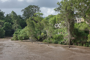 Flooded Indooroopilly, Brisbane Floods 2011