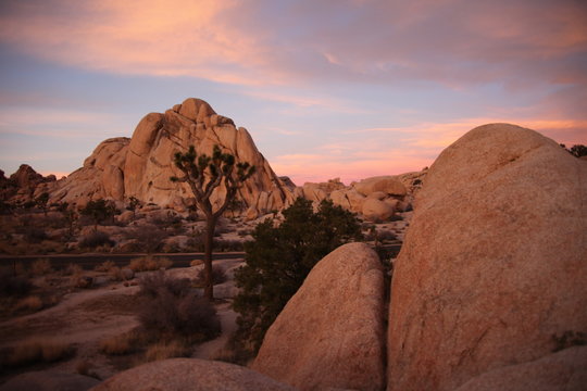 Joshua Tree natinal Park sunset