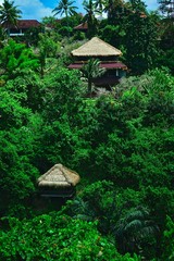 Paysage d'Indonésie