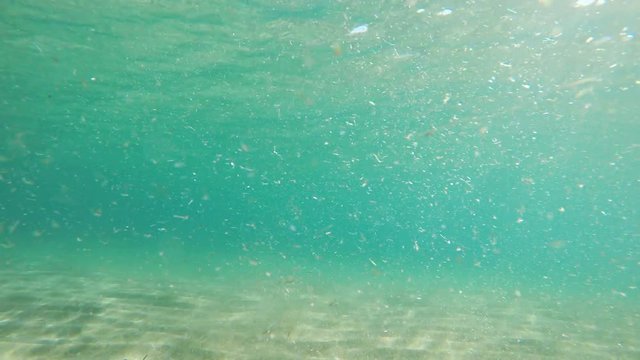 Underwater view of Alghero turquoise sea. Sardinia, Italy