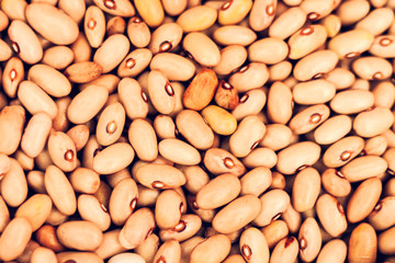Beans background (Phaseolus) – food for veggies