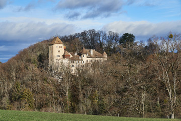 Fototapeta na wymiar Schloss Wildenstein
