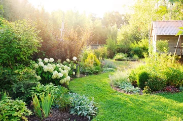 Keuken foto achterwand Tuin zomerse privétuin met bloeiende hortensia Annabelle. Bochtige gazonrand, mooi pad. Landschapsontwerp in Engelse cottage-stijl.