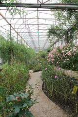 The Garden walkway in the Royal Rose Garden, Chiangmai, Thailand.