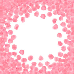 Background with realistic pink rose petals isolated on white background.