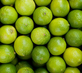 Lime Citrus Fruits, green and yellow, at the local farmer market, Milan, Italy