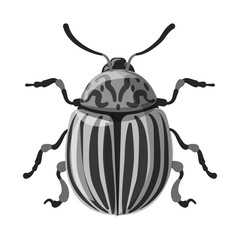 Isolated object of insect and fly sign. Set of insect and element stock symbol for web.