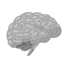 Vector illustration of body and human sign. Set of body and medical stock symbol for web.