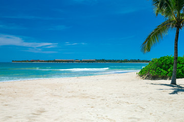 Fototapeta na wymiar tropical beach in Sri Lanka . Summer holiday and vacation concept for tourism.