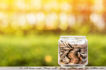 Coin in the bottle with growing for savings money put on the wood in the morning sunlight, Business investment concept.
