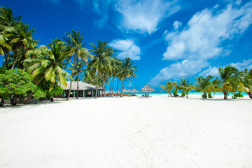 Fototapeta premium tropical Maldives island with white sandy beach and sea