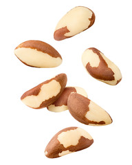 Falling brazil nut, isolated on white background, clipping path, full depth of field