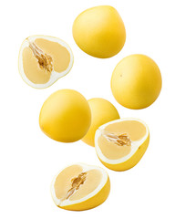 Falling yellow pomelo, isolated on white background, clipping path, full depth of field