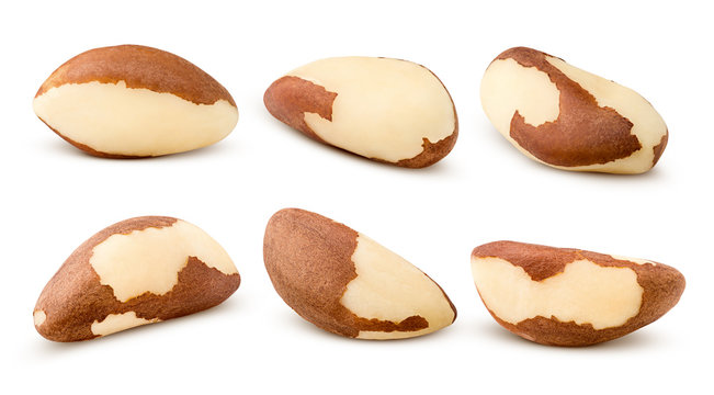 brazil nut, isolated on white background, clipping path, full depth of field