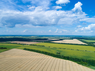 green field and blue sky