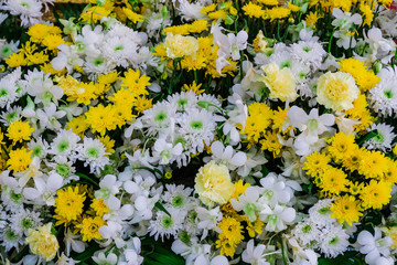 Obraz premium Beautiful flower background for decorating wedding scenes in white and yellow tones