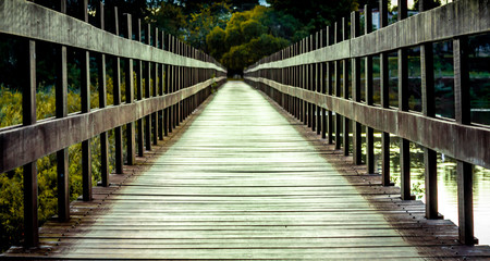 Fototapeta premium A Ponte Natural 