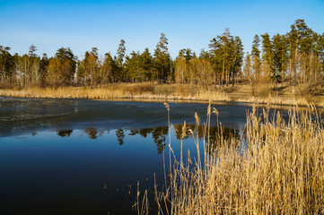 Fototapeta premium lake, water, ice, shore, forest, trees, sky, clouds, nature, walk, observation