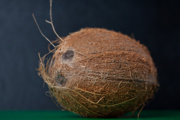 Close-up of an exotic and fresh coconut on a black background.