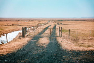 Fototapeta na wymiar Feldweg in Island