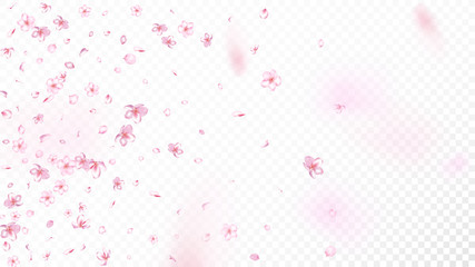 Nice Sakura Blossom Isolated Vector. Spring Blowing 3d Petals Wedding Texture. Japanese Beauty Spa Flowers Wallpaper. Valentine, Mother's Day Magic Nice Sakura Blossom Isolated on White