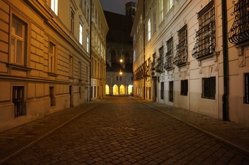 Fototapeta na wymiar Night deserted streets of Vienna.