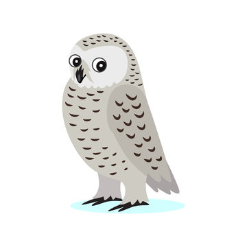 Icon of cute white polar owl with big eyes, forest, woodland animal, vector illustration for children book or decoration