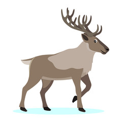 Cute forest polar animal, cartoon caribou reindeer with long horns, vector illustration isolated on white background