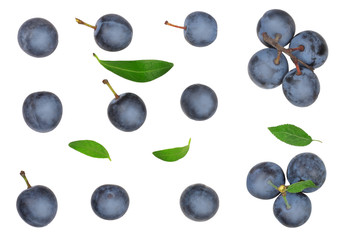 The fruits of blackthorns isolated on white, top view