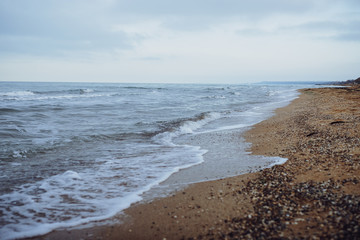 sandy seashore with shells