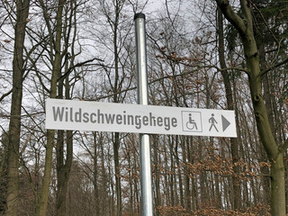 Zum Wildschweingehege
