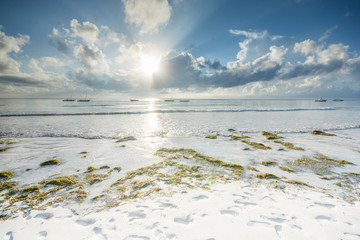 Diani beach in Kenya. Beautiful view on beach and palm tree. © Tomasz