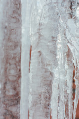 Naklejka na ściany i meble Very large and dangerous icicles close up