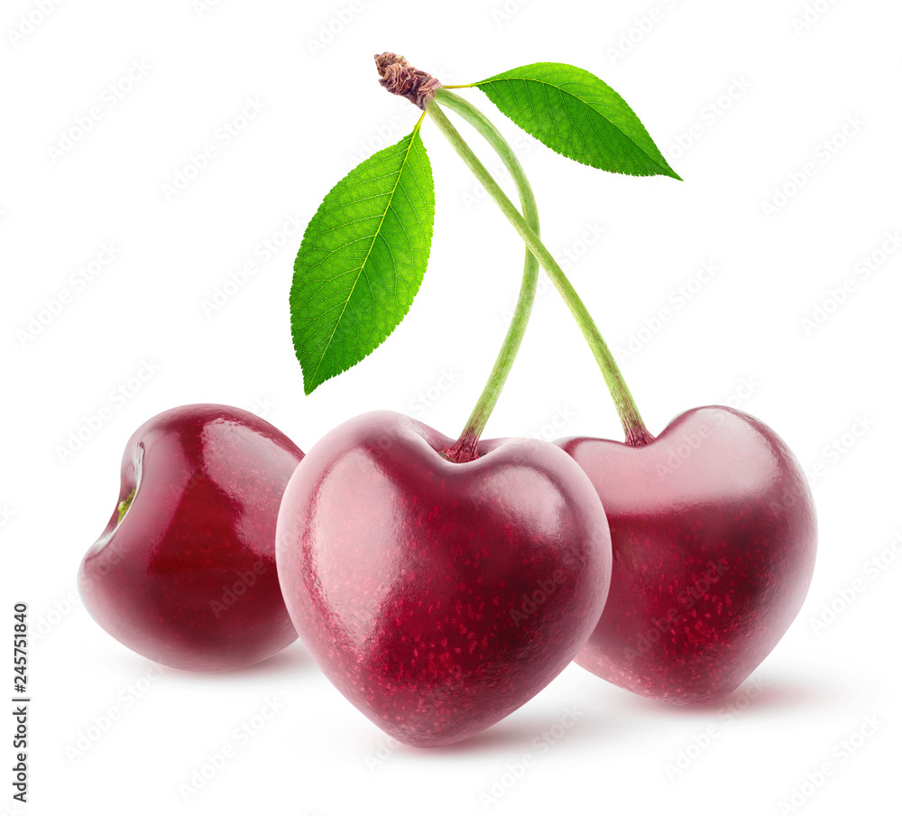 Aufkleber isolated berries. pair of heart shaped cherry fruits on a stem isolated on white background with cli