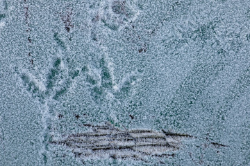 Frost on a flat surface. Sharp ice crystals growing on a flat, dark surface.