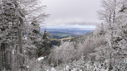Winterliche Aussicht vom Schauinsland Freiburg