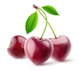 Isolated berries. Pair of heart shaped cherry fruits on a stem isolated on white background with clipping path