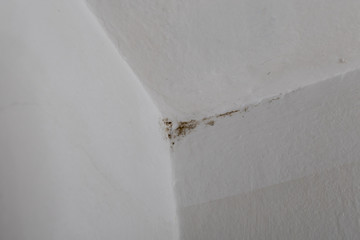 Small area of mildew in the corner of white walls indoor